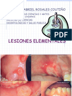 Lesiones Elementales y Vesiculo-Ampollares