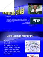 1.membrana Celular