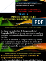 Tema 4, Empresa Ind. Resp. Limitada y Mypes