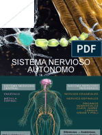 Sistema Nervioso Autónomo