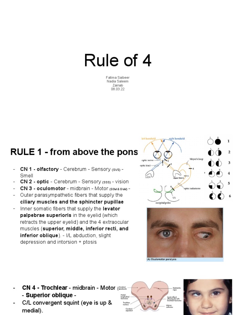 Rule Of 4 Brainstem – Rule of 4 of the brainstem – BCUPBU