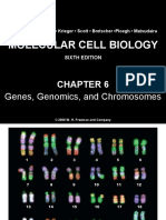 Chapter6 Genesgenomicsandchromosomes 140105090714 Phpapp02