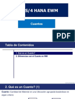 5.1 SAP006ES-02-05-Quants PDF