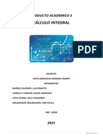 P.A - 03 - Grupal - Calculo Integral Carrillo Yunguri David Armando