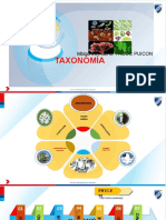 TAXONOMIA