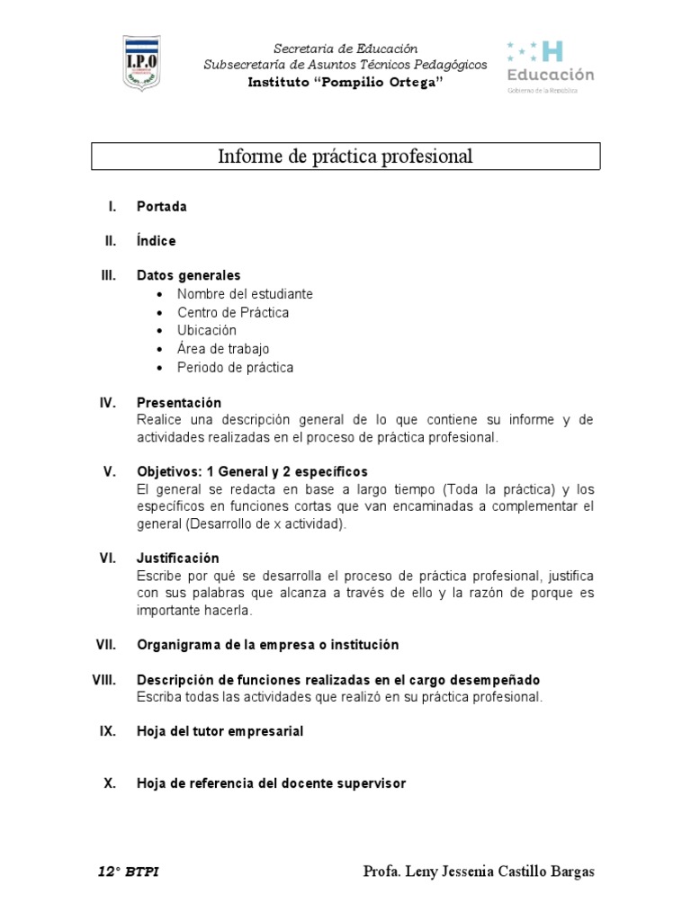 Informe de Práctica Profesional 12° BTPI | PDF
