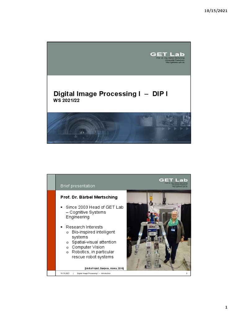 Solution To DIP PDF Digital Signal Processing Neuroscience