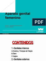 Genital Femenino