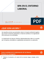 3.4. BPA en El Entorno Laboral