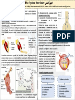 Le Systeme Musculaire Resume de Cours Ma