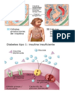 Ciencias 7