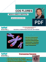 3ra Clase - DR ARCOS Cromosomas Humanos Anomalías Cromosómicas Numéricas y Estructurales