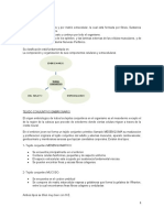 Tejido conjuntivo: composición, funciones y tipos