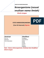 Format Laporan Pengamatan Mikroorganisme