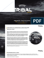 Curso Online Cerveza 2020tribal