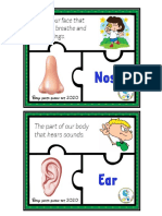 body parts puzzle