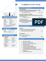 Curriculum Vitae: Stevhen Marthin Working Experiences