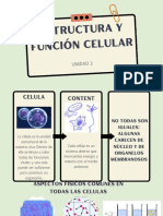 Estructura y Función Celular