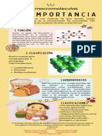 Infografía Macromoléculas