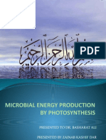 Microbial Energy Production by Photosynthesis