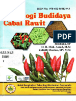 Budiaya Cabai Rawit (Buku)