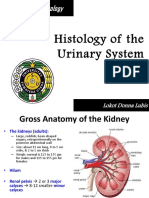 Histology of The Urinary System 2022