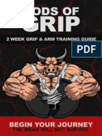 Gods of Grip Free Guide V2