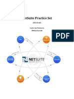 Netsuite Practice Set Beta Draft 1