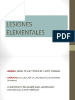 Lesiones Elementales Primarias y Secundarias