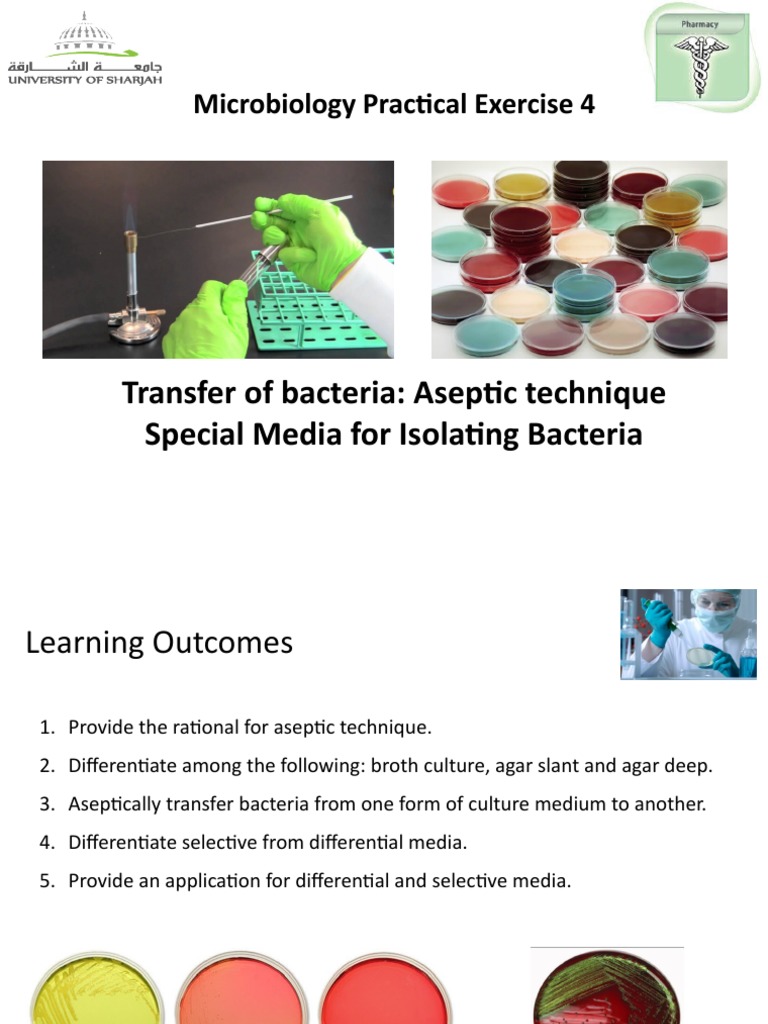 Lab 4 Transfer of Bacteria Aseptic Technique& Culture Media PDF