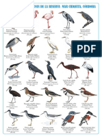 Guía Aves MarChiquita