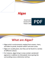 Algae