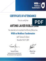 20211117 - WOBI - Workforce Transformation - CERT_antonio-javier-robles-luna