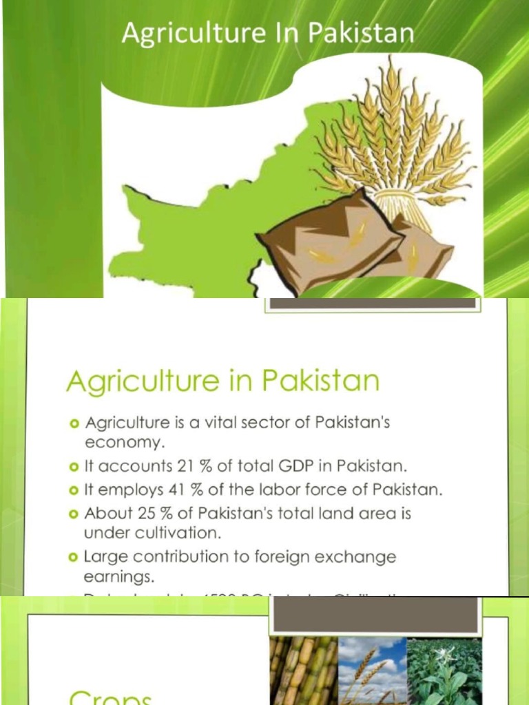 Agricultural Products of Pakistan PDF