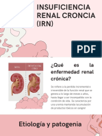 Insuficiencia Renal Cronica