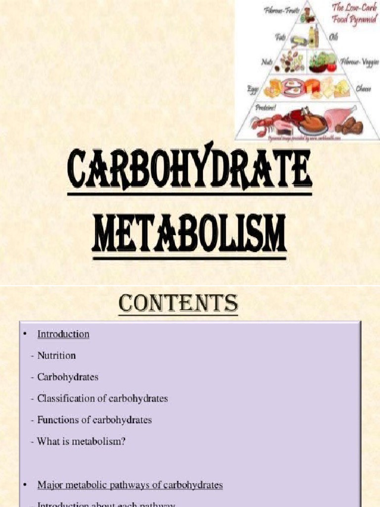 Carbohydrates Metabolism PDF