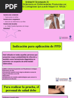 Manual de Prueba Tuberculínica PPD | PDF | Tuberculosis ...