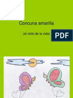 228201308-cuncuna-amarilla