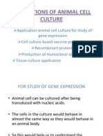 Applications of Animal Cell Culture
