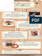 Infografía de Proceso Proyecto Collage Papel Marrón