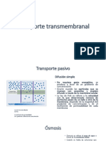 3. Biología celular sesión 13 Transporte transmembranal y uniones celulares (2)