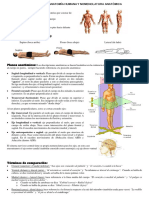 Anatomia Nomenclatuura