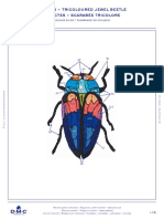Https Www.dmc.Com Media Dmc Com Patterns PDF PAT0480 Insects - Tricoloured Jewel Bettle