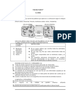 Examen de La Célula