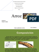 Arroz: composición, tipos y características