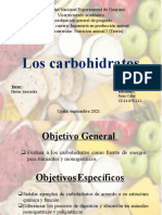 Los Carbohidratos