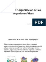 BIO Niveles Organizacion