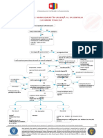 Algoritmii de Practica Medicala Destinati Asistentei Medicale de Urgenta in UPU