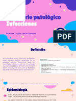 Infecciones Puerperales