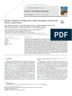 European Foulbrood in Stingless Bees (Apidae, Meliponini) in Brazil, Old Disease, Renewed Threat